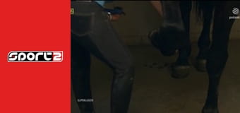 Trash Talk - Amerikai sportmagazin, ism., HD