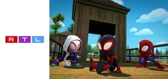 Marvel: Póki és csodálatos barátai S1E10 - Manci, a jófiú / Pókmajom