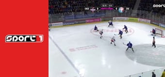 Lední hokej - Kloten - ZSC Lions