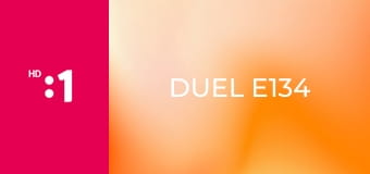 Duel E134
