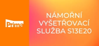 Námořní vyšetřovací služba S13E20 - Šaráda