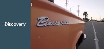 Rodení obchodníci XV (15)