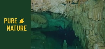 Peșterile subacvatice din Mexic: O lume subacvatică incredibilă Peșterile subacvatice din Mexic: O lume subacvatică incredibilă