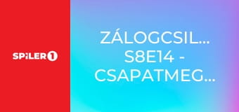 Zálogcsillagok S8E14 - Csapatmegbeszélés