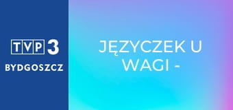 Języczek u wagi - Metafory pospolite