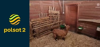 Rolnicy - tak się żyje u nas na wsi S8E7