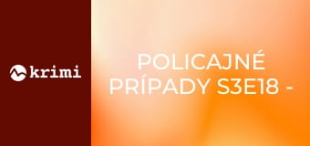 Policajné prípady S3E18 - Stratené dievča, Stratená žena, Rýchlosť kvôli pôrodu, Rodinná záležitosť