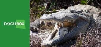 Kreatywni zabójcy S1E2 - W okopach