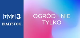 Ogród i nie tylko E161