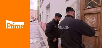 Policie v akci - Nebezpečná bývalka / Sourozenci
