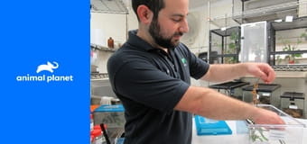 ZOO v Bronxu S2E2 - Lední medvěd ve městě ZOO v Bronxu S2E2 - Lední medvěd ve městě