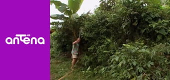 Wojciech Cejrowski - boso przez świat S1E83 - Życie codzienne Indian