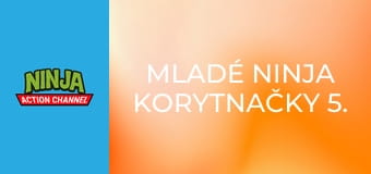 Mladé ninja korytnačky 5. séria, 14. časť