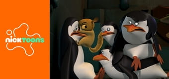 A Madagaszkár pingvinjei S3E5 - Pszicho tyúk / Hüvelykujj hiány