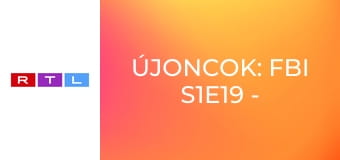 Újoncok: FBI S1E19 - Égető kérdések