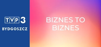 Biznes to biznes