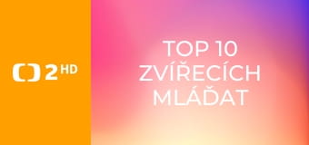 TOP 10 zvířecích mláďat - Nejsilnější