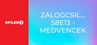 Zálogcsillagok S8E13 - Medvencek