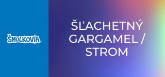 Šľachetný Gargamel / Strom Na Peniaze