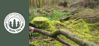 Цяло пиле, приготвено в гората Цяло пиле, приготвено в гората