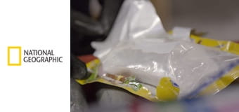 Złapać przemytnika S6E8 - Kokaina w kabinie