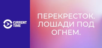 Перекресток. Лошади под огнем.