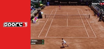 Fotbal - Verona - Fiorentina