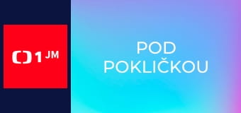 Pod pokličkou