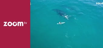 Dzika przyroda na żywo S1E4