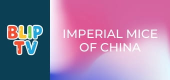 Imperial Mice of China Imperial Mice of China