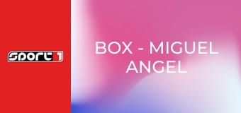 Box - Miguel Angel Cotto - Carlos Ramirez