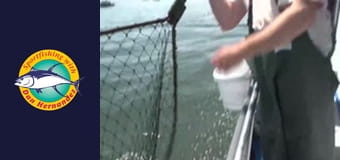 New Huck Finn, part 1