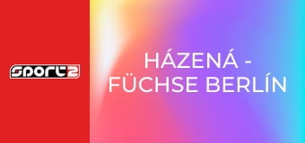 Házená - Füchse Berlín - Sporting