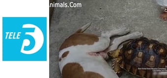 Uśmiechnij się S1E8 Uśmiechnij się S1E8