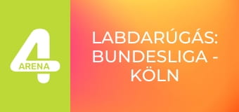 Labdarúgás: Bundesliga - Köln – Borussia Dortmund