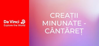 Creații minunate - Cântăreț din carton