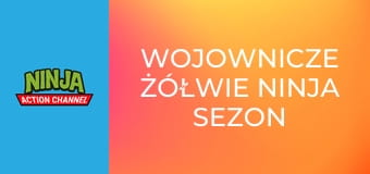 Wojownicze żółwie ninja Sezon 4 Odcinek 5