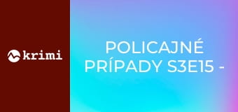 Policajné prípady S3E15 - Zlodejský kamarát, Bunker, Prevádzači