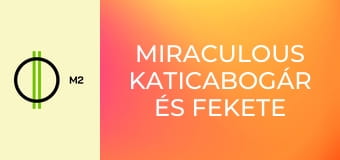 Miraculous Katicabogár és Fekete Macska kalandjai - A kezdetek – 1. rész