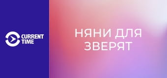 Почти взрослые. Д/с "Няни для зверят".