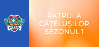 Patrula căţeluşilor Sezonul 1 Episodul 18