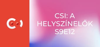 CSI: A helyszínelők S9E12 - Fegyvertelen és veszélyes