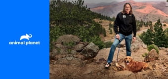 Dr. Jeff: Veterinář ze Skalnatých hor S5E2 - Statečný pejsek Dr. Jeff: Veterinář ze Skalnatých hor S5E2 - Statečný pejsek