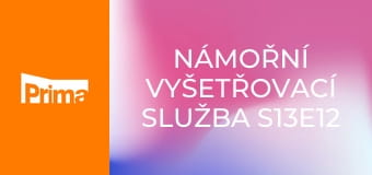 Námořní vyšetřovací služba S13E12 - Sesterské město