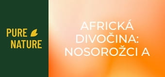 Africká divočina: Nosorožci a hroši