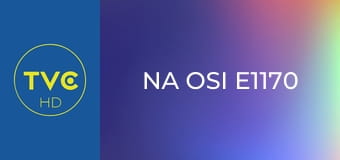 Na osi E1170