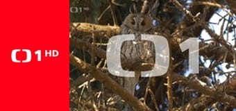 Góly, body, sekundy