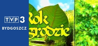 Rok w ogrodzie E1141