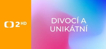 Divocí a unikátní