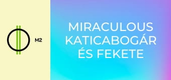 Miraculous Katicabogár és Fekete Macska kalandjai - Álnok Ámor